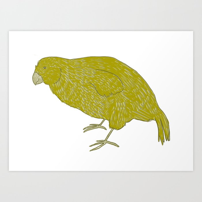 Kakapo Says Hello! Art Print