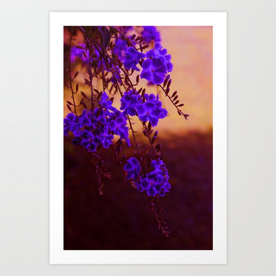 Chase away the blues Art Print