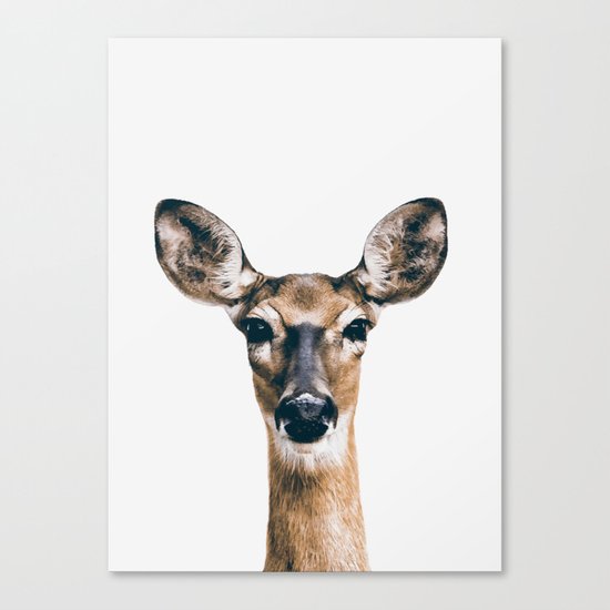 DEER 3 Canvas Print