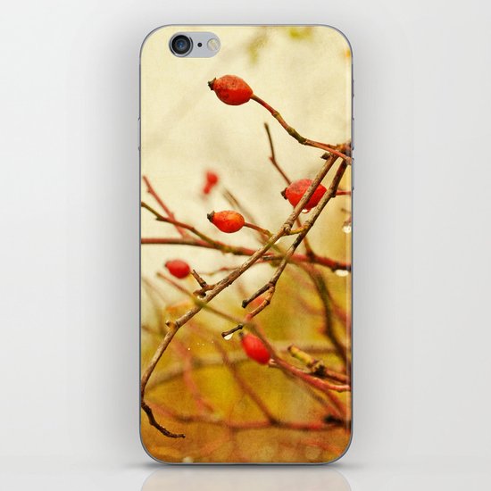vintage rosehips iPhone Skin