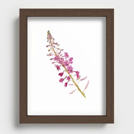 Flowers of fireweed Recessed Framed Print