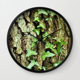 Ivy Plant Tree Bark Texture Closeup Wall Clock | Moss, Texture, Closeup, Pine, Natural, Plant, Ivy, Photo, Trunktree, Bark 