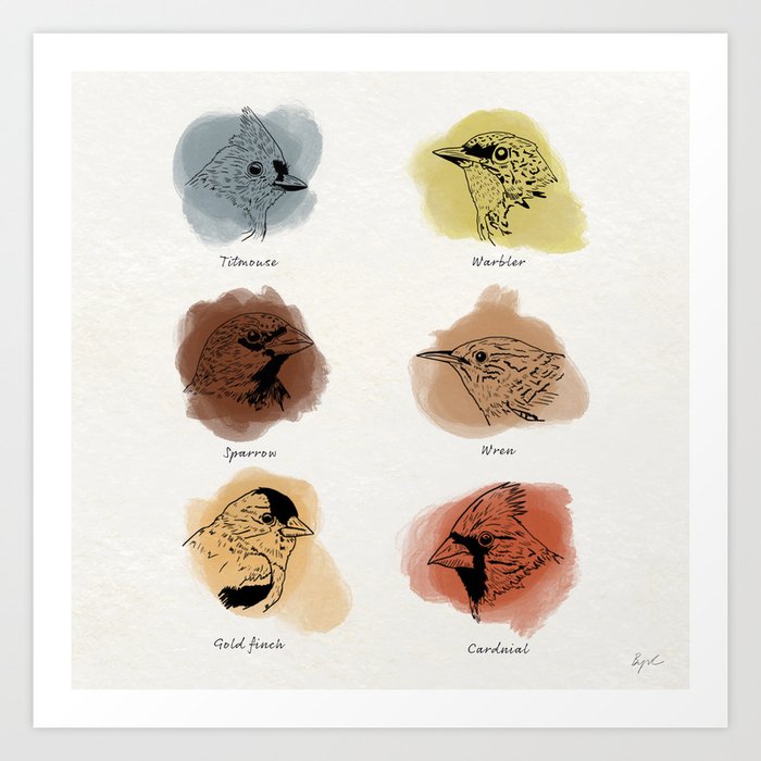 Song Birds Art Print