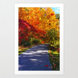 Paved Autumn Path Art Print