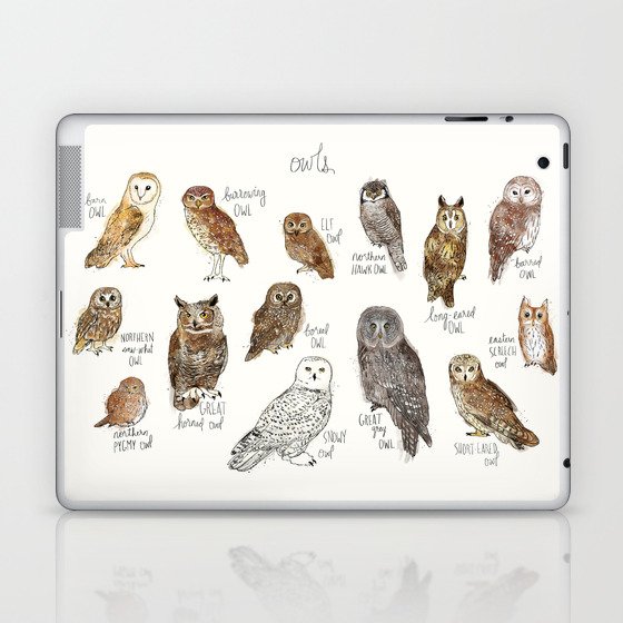 Owls Laptop & iPad Skin