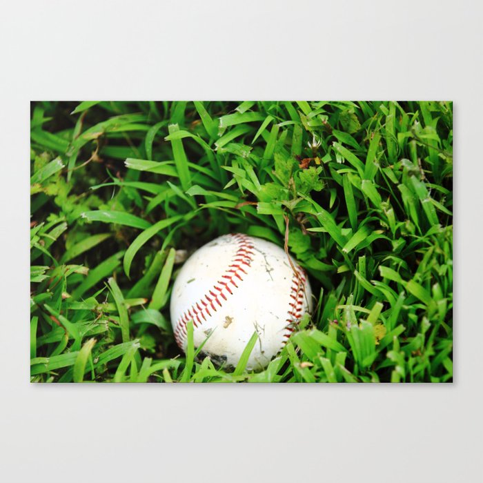 The Lost Baseball Canvas Print