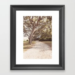 Under the Oaks x Path to the Beach x Florida Photography Framed Art Print