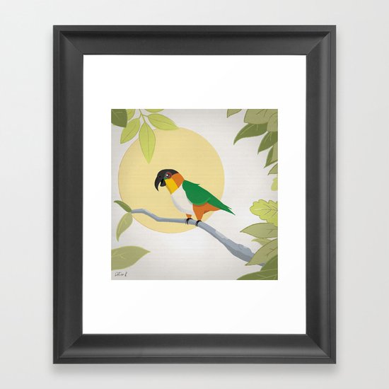 Black-Headed Caique Parrot Framed Art Print