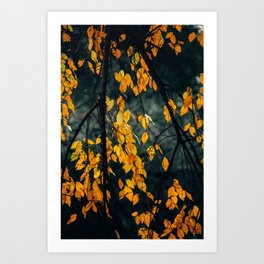 Vibrant Bright Autumn leaves on branches Art Print