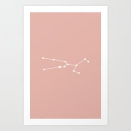 Taurus Zodiac Constellation - Pink Rose Art Print