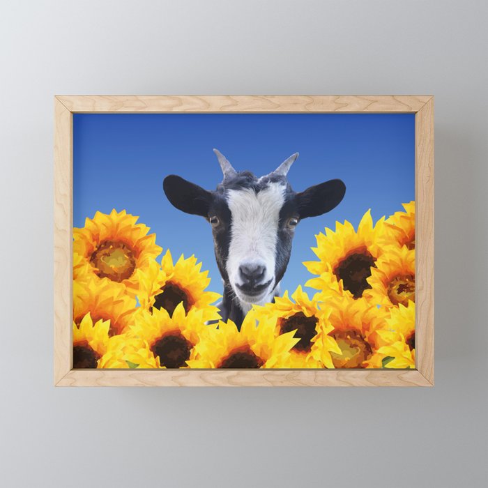 Goat in Sunflower field Framed Mini Art Print