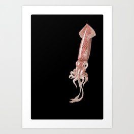Boreal Squid Art Print