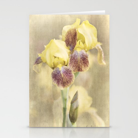 Iris Cream Stationery Cards