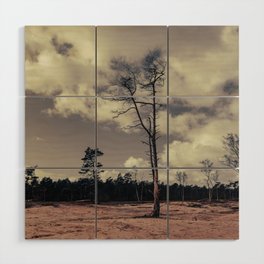 Lonely pinetree Wood Wall Art