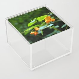 Jewel Weed Acrylic Box