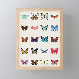 Butterflies Framed Mini Art Print