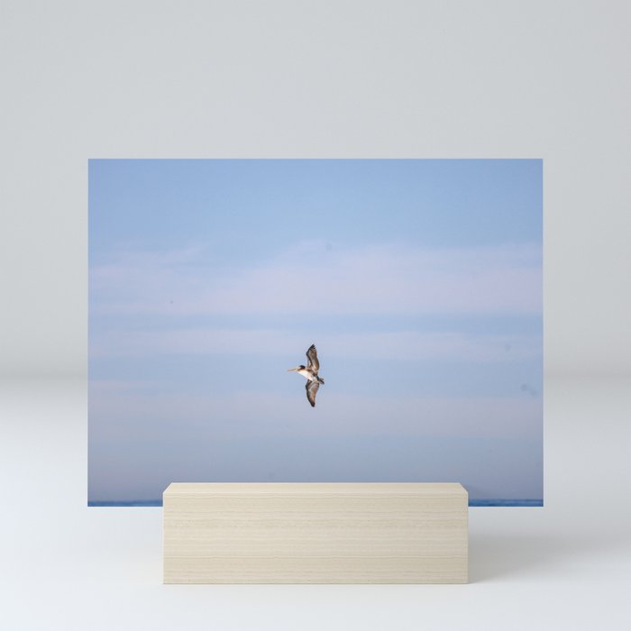 Solo Pelican Mini Art Print