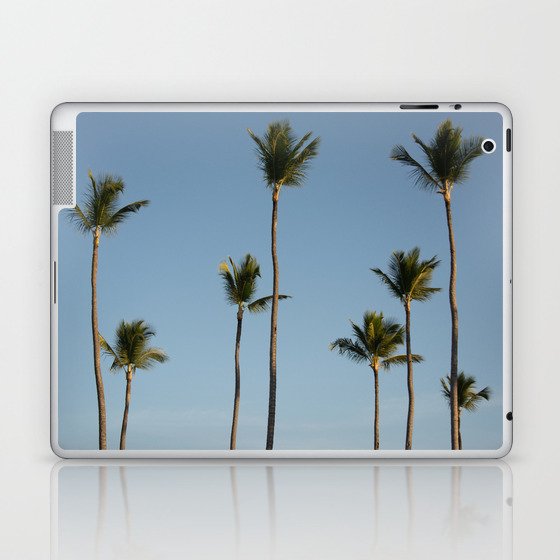 Palms Punta Cana Laptop & iPad Skin