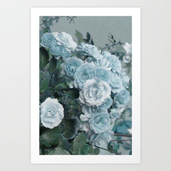 A cloud of blue roses Art Print