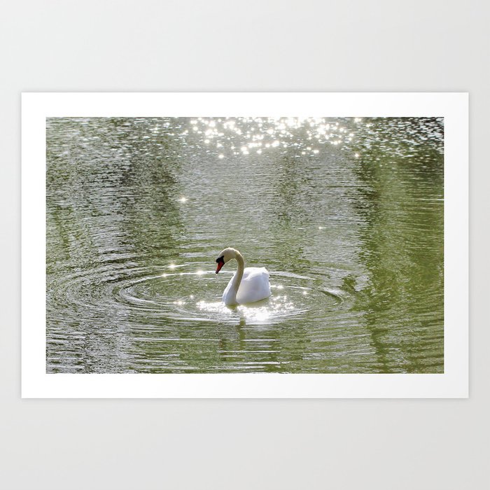 Sparkly Swan Lake Art Print