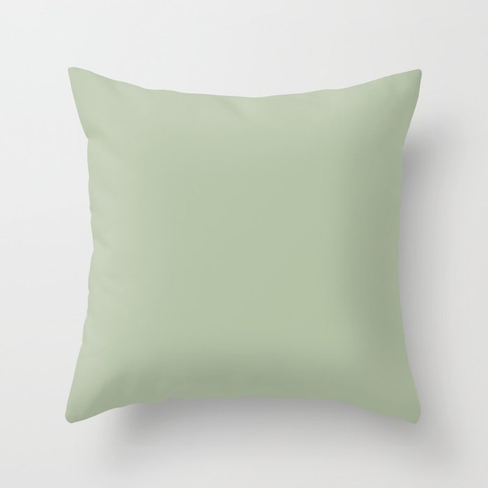 Solid Color Pale Pastel Green Pairs to Pantone 14 0114 TCX Celadon Green Throw Pillow