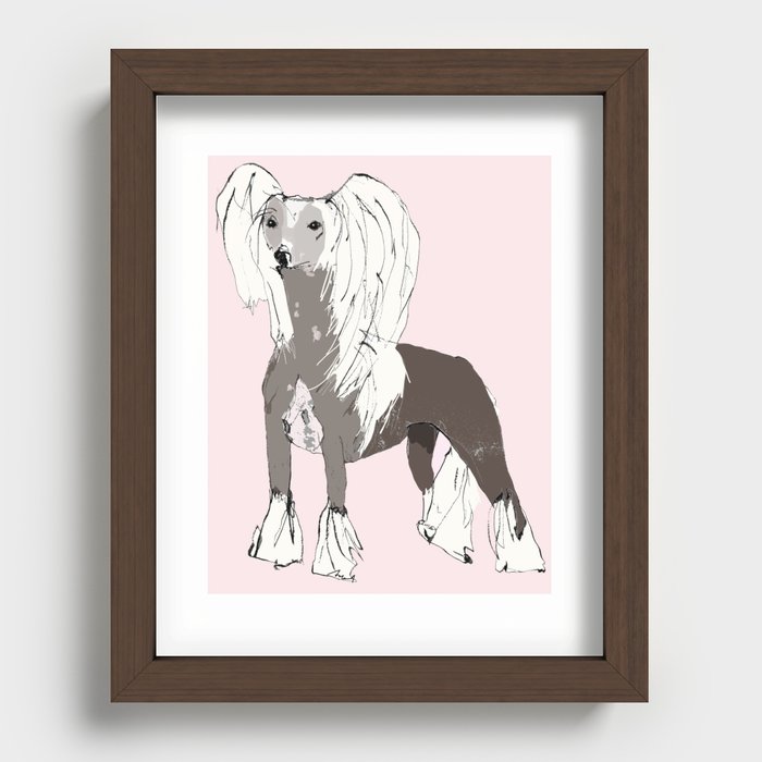 Chinese Crested Recessed Framed Print