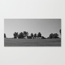 Trees And The Field Canvas Print