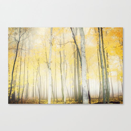 Enchantment Canvas Print
