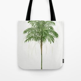 Vintage Botanical Print - Monostachia palm tree  Tote Bag