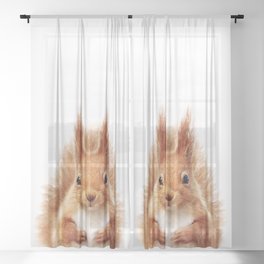 Baby Squirrel, Woodland Animals, Kids Art, Baby Animals Art Print By Synplus Sheer Curtain