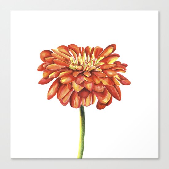 Red flower. Watercolor Canvas Print