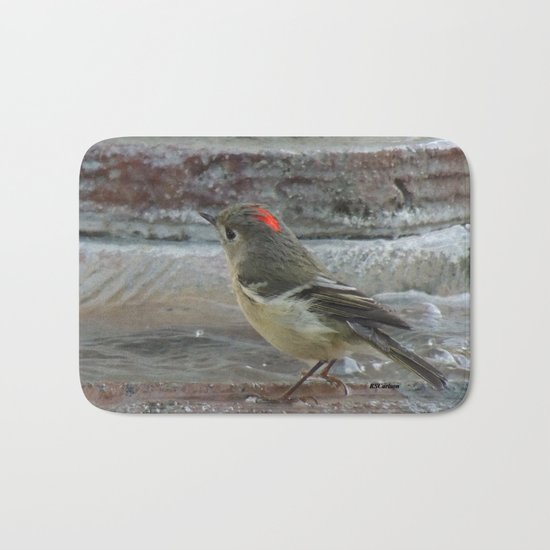 Ruby-Crowned Kinglet At The Fountain Bath Mat