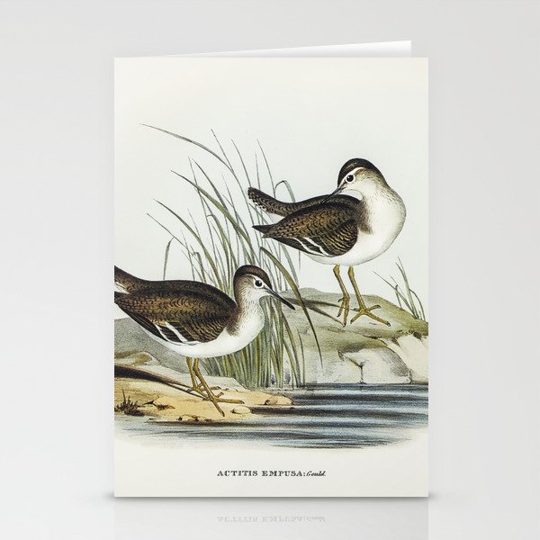 Vintage seabirds Stationery Cards