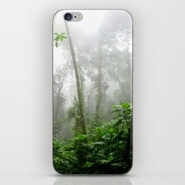 Brazil Photography - Moisty Rain Forest With Wet Leaves iPhone Skin