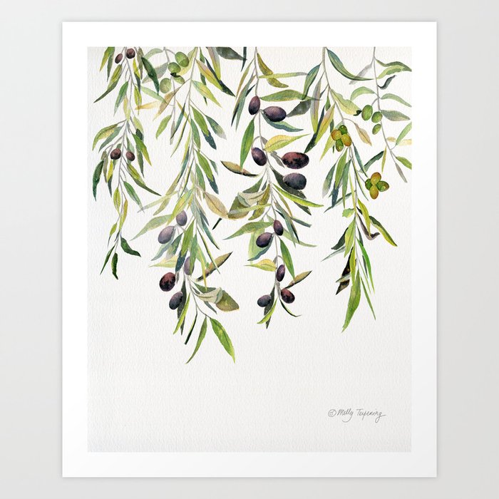 Olive Branch Watercolor  Art Print