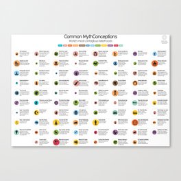 Common Mythconceptions Canvas Print