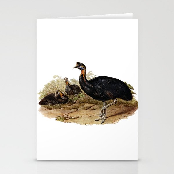 Vintage Northern One Wattled Cassowary Bird Illustration Stationery Cards