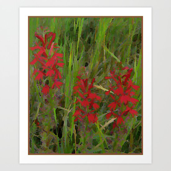 Red Wild Flowers Art Print
