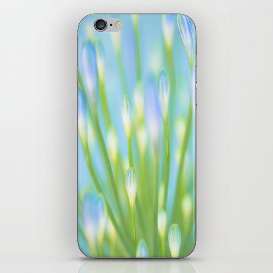 Blue & Green iPhone & iPod Skin