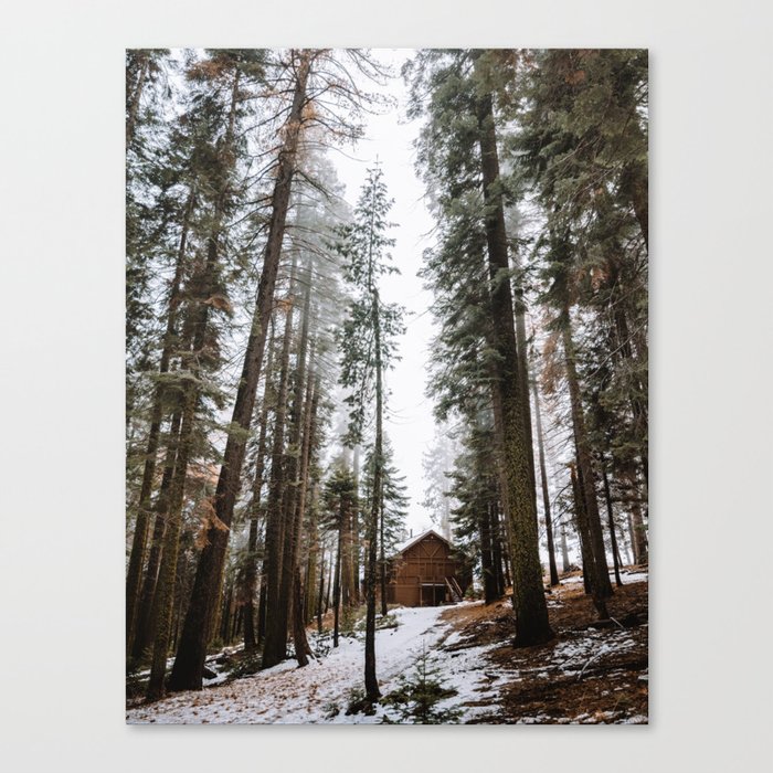 Canvas Print