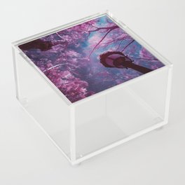 Fairy tale spring; cherry blossom tree canopy in the park at sunrise color magical realism portrait photograph / photography Acrylic Box