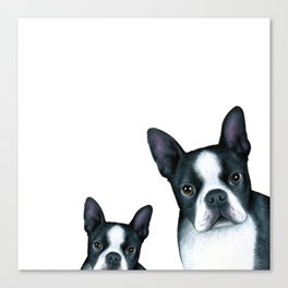 Dog 128 Boston Terrier Dogs black and white Canvas Print