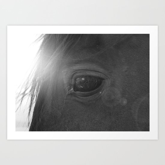 Equine eye Art Print