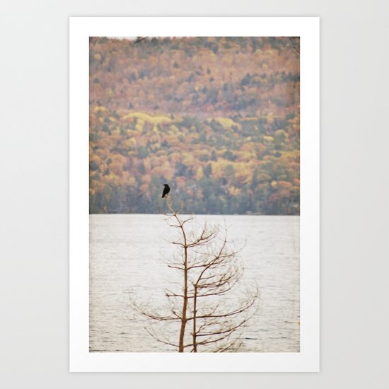 Fall Bird Art Print