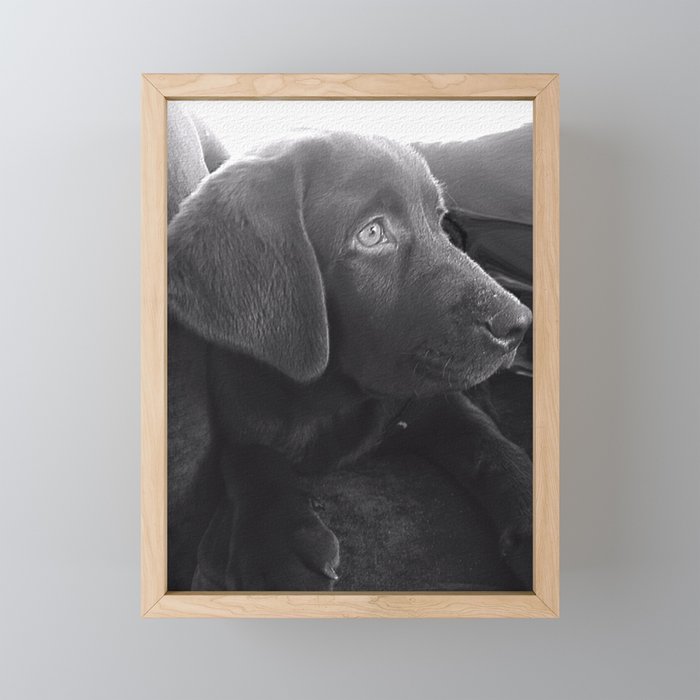 Framed Mini Art Print