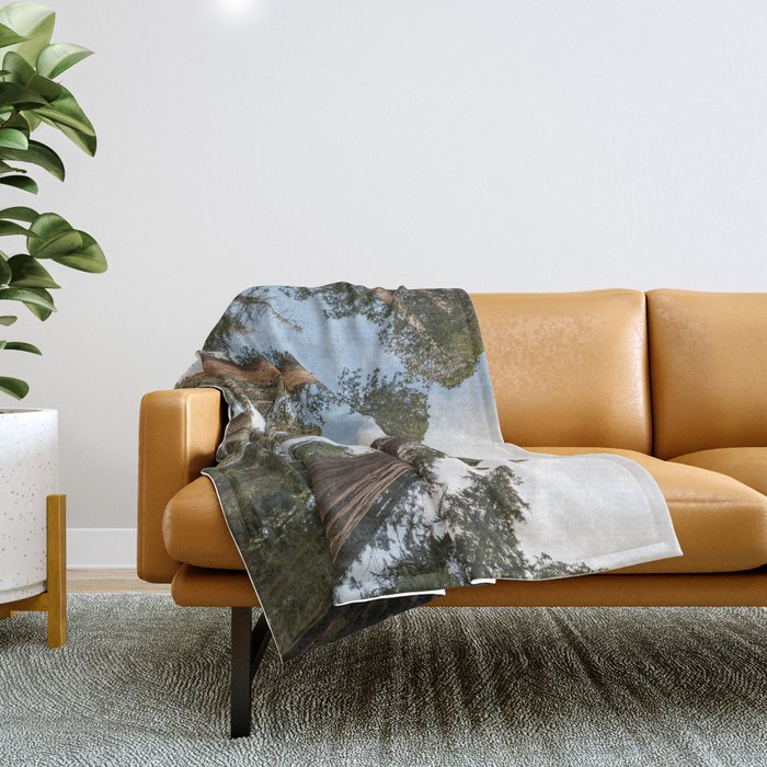 Giant deals throw blanket