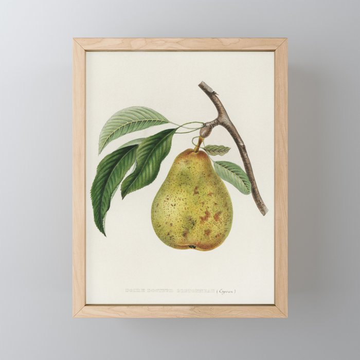 Pear Framed Mini Art Print