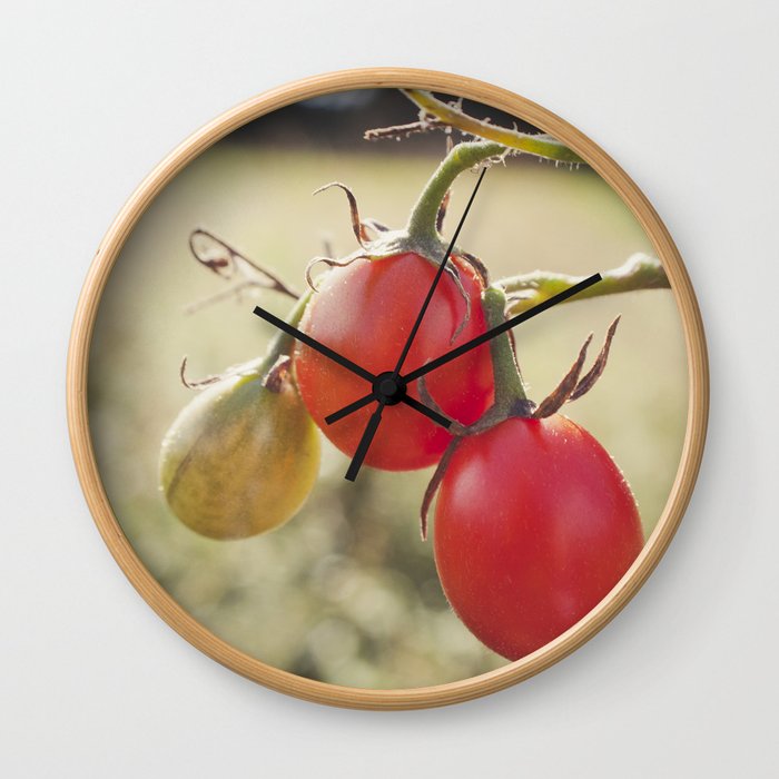 Cherry Tomatoes Ripening in the Sun Wall Clock