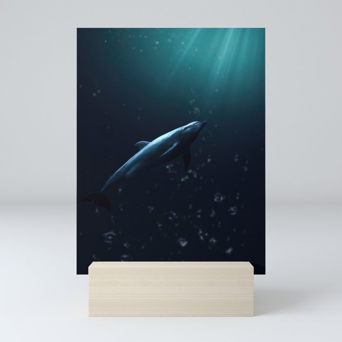 Dolphin Swimming Towards the Light Mini Art Print
