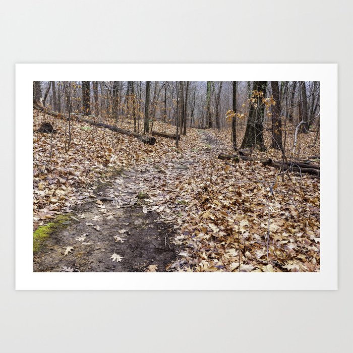 into the winter woods Art Print